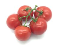Tomate grappe 