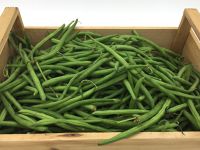 Haricots Vert de Pays