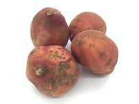 Patate Douce