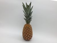 Ananas Avion