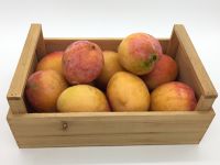 Mangue