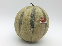 Melon Français boule d'or