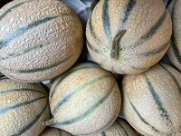 Melon Camargue