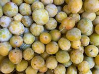 Mirabelles