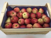 Pommes Bio