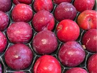 Prune rouge 