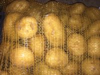 Pomme de Terre Bernadette 5kg