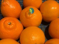Orange minneola