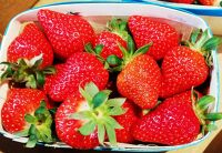 Fraise de Carpentras 500g