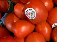 Tomate roma