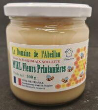 Miel Fleurs Printanières 500g Abeillau  