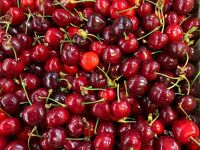 Cerises