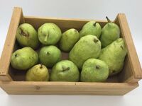 Poire Comice