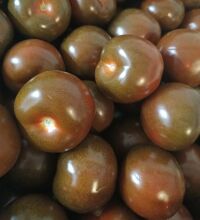 Tomate Noire