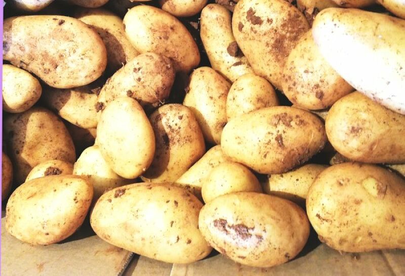 Pomme de Terre Victoria - Saveurs de nos Terroirs