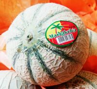 Melon Marrakchia cal.18