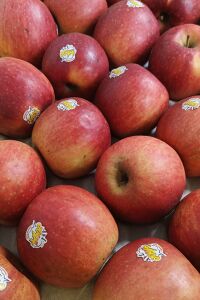 Pomme Joya