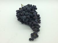 Raisin Muscat