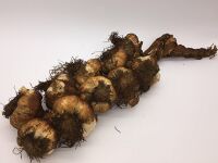 Tresse Ail fumé 1kg