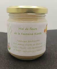 Miel de Fleurs de printemps 250gr Fontaine