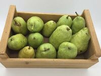 poire triomphe de vienne